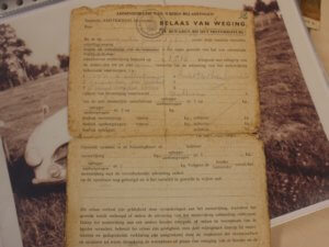 Real Art on Wheels | 1956 BMW 502 V8 Convertible