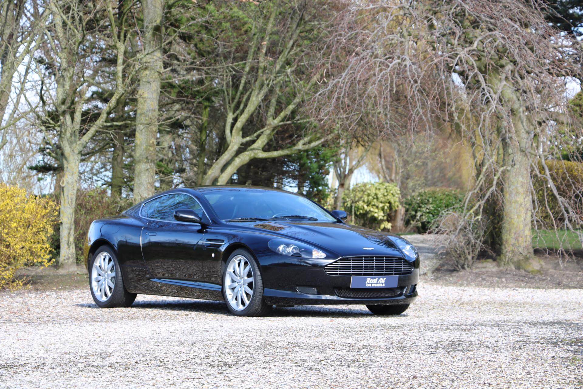 Real Art on Wheels | Aston Martin DB9