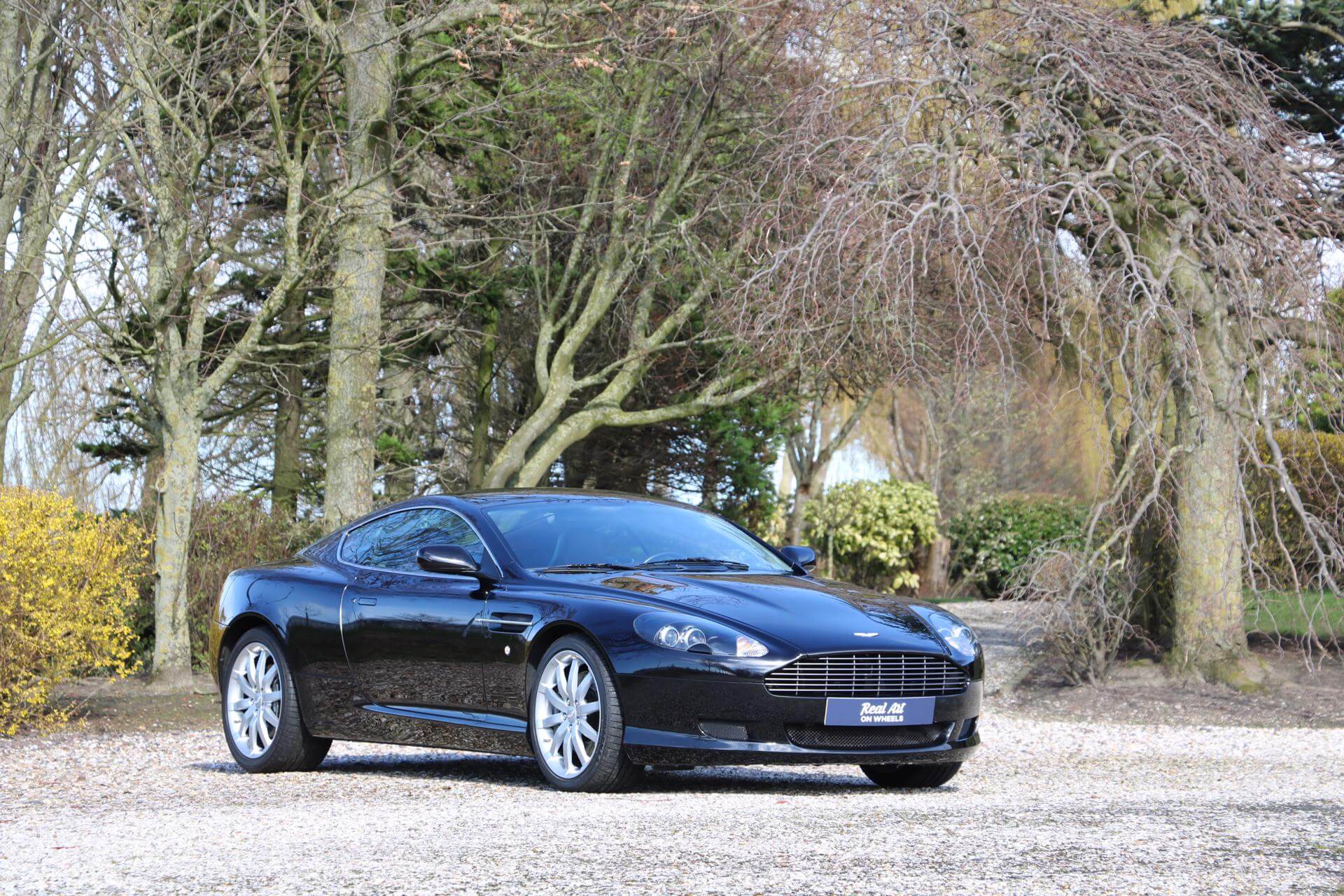 Real Art on Wheels | Aston Martin DB9